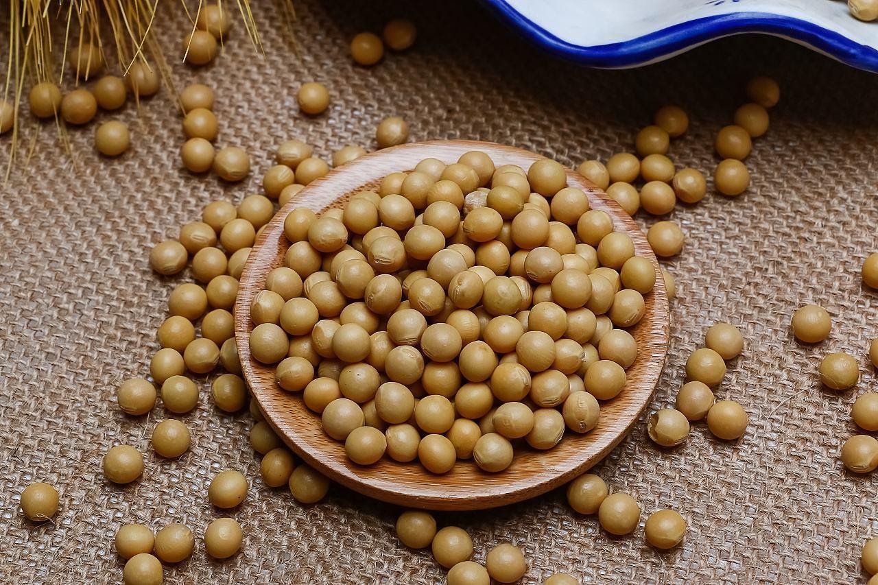 soya lecithine suppliers, soy lecithine suppliers